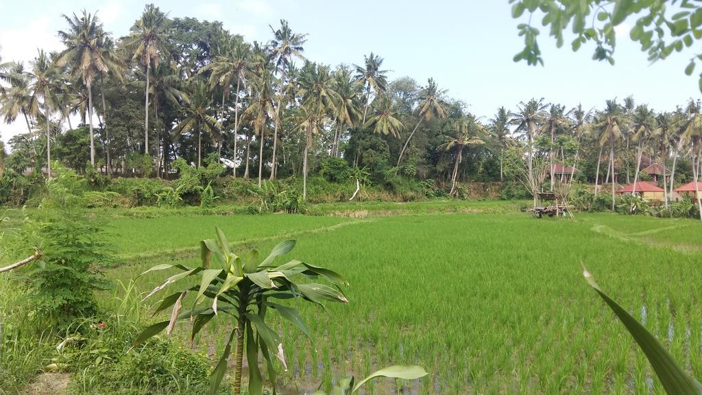 Pondok Tulasi Semaya House Payangan Exterior foto